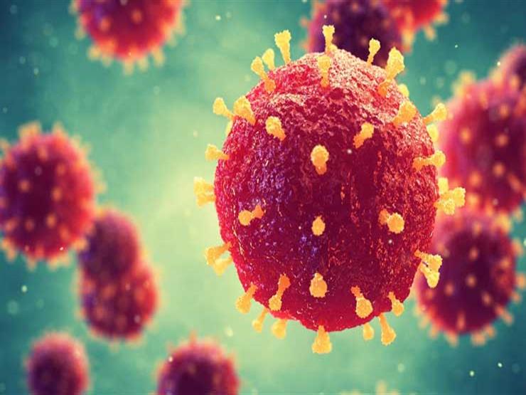 ما مدة استمرار مناعة كورونا بعد التعافي منه؟.. "الصحة العالمية" توضح