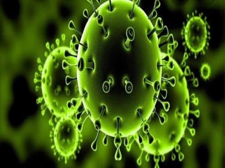 رئيس "الحساسية والمناعة" بالمصل واللقاح: كورونا قد يصبح فيروسًا موسميًا مثل الأنفلونزا- فيديو