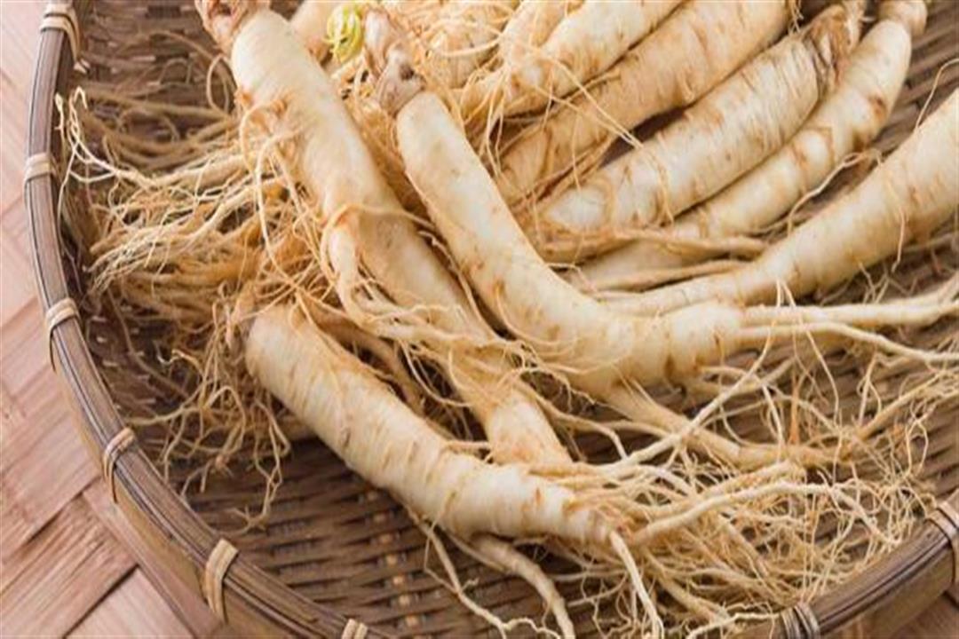 عشبة الجينسينج