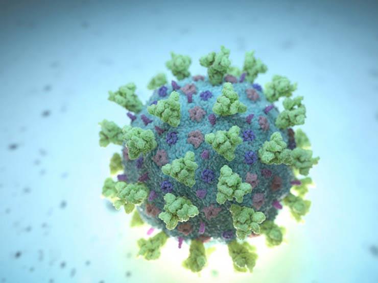 دراسة تكشف سبب ضعف مقاومة الرجال لفيروس كورونا