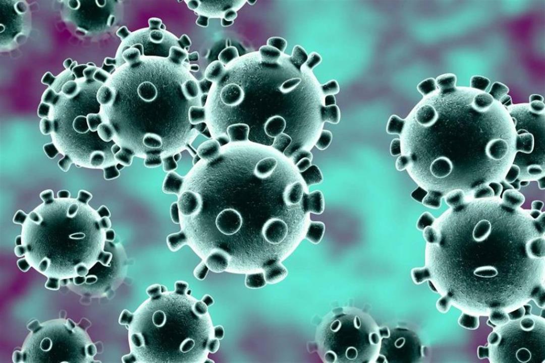 عضو لجنة الفيروسات: الموجة الثانية من كورونا ستكون مع انتشار الإنفلونزا