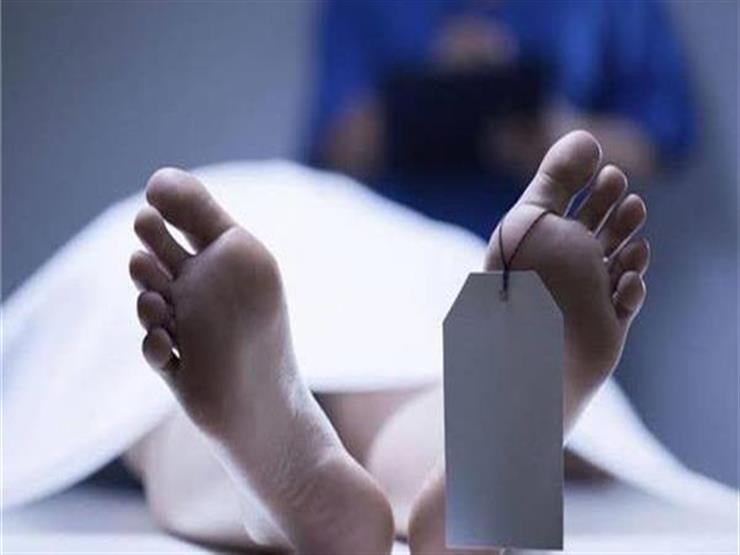 ضربها بساطور.. مقتل ربة منزل على يد زوجها في المنيا ضربها بساطور.. مقتل ربة منزل على يد زوجها في المنيا
