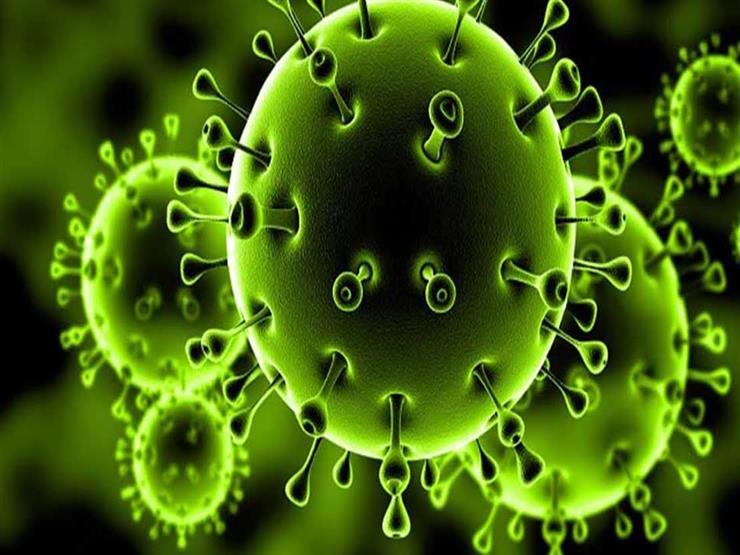 "اطمئنان حذر"..أستاذ صحة عامة: الموجة الأولى من فيروس كورونا أوشكت على الانتهاء- فيديو