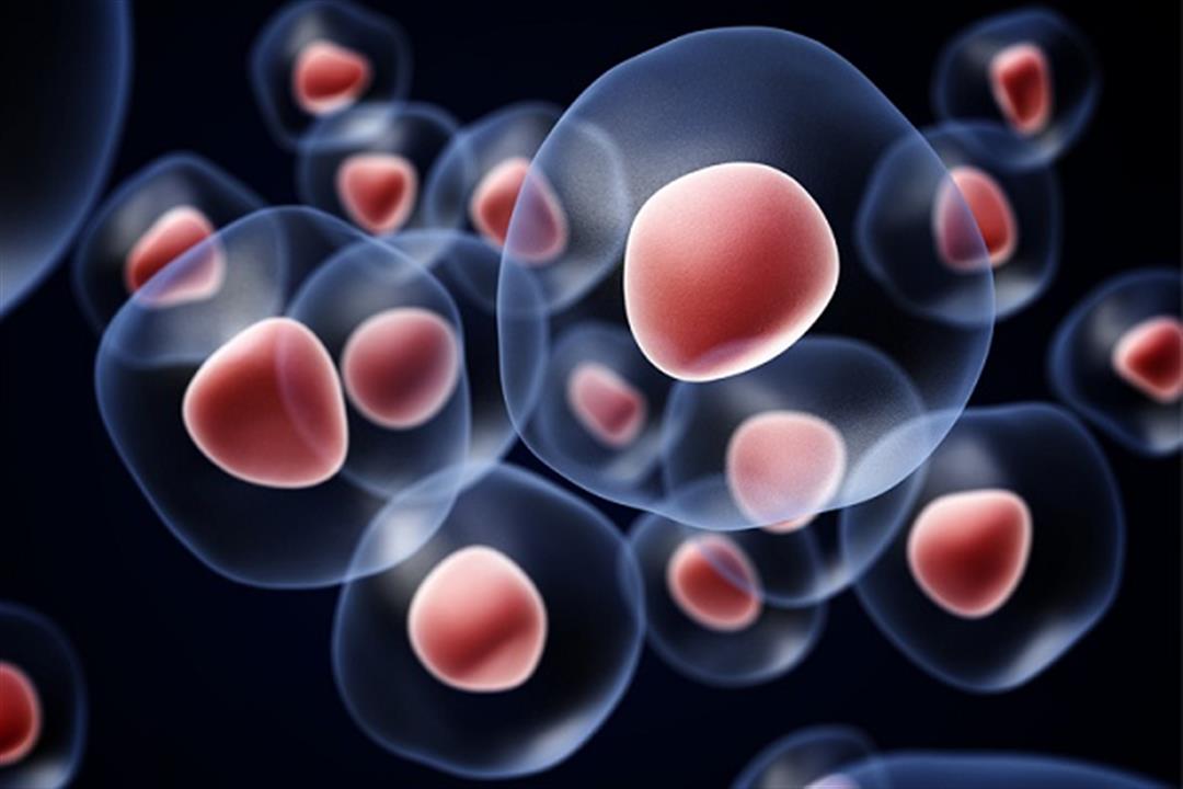 دراسة تكشف: خلايا الأمعاء لديها ذاكرة تتعرف على الأمراض وتواجهها