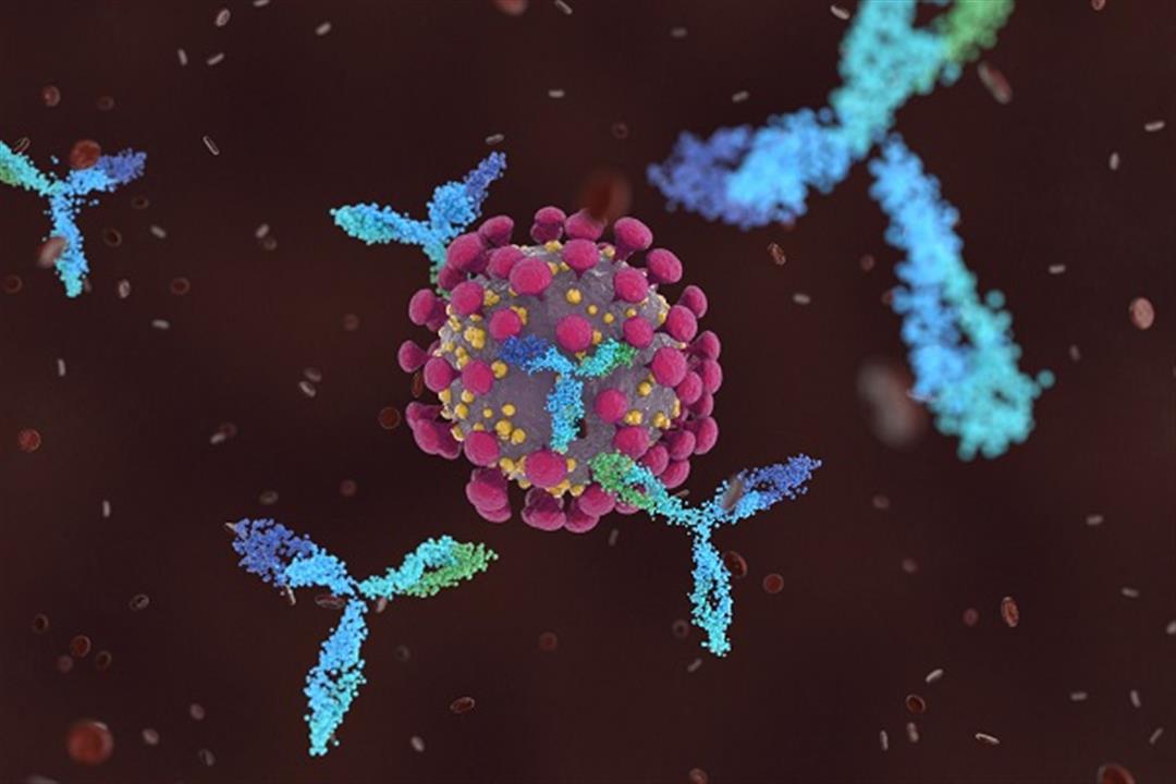 فيروس كورونا.. علماء يزعمون اكتشاف جسم مضاد يمكنه مكافحة السلالات المختلفة