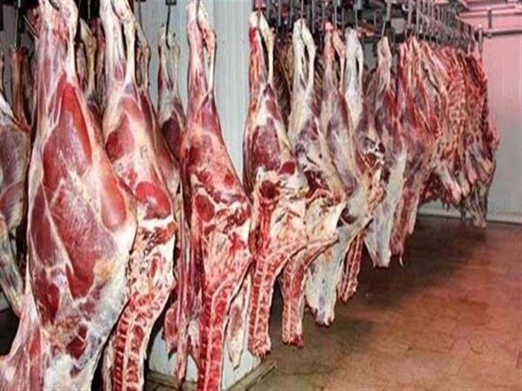 توزيع 26 طن من اللحوم على الأسر الأولى بالرعاية في قنا توزيع 26 طن من اللحوم على الأسر الأولى بالرعاية في قنا