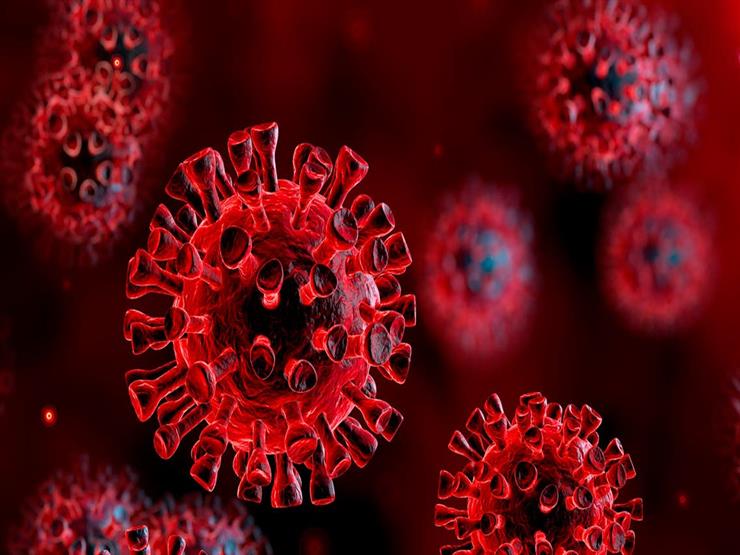 دراسة: الإصابة بسلالة جنوب أفريقيا يولد مناعة ضد باقي سلالات كورونا