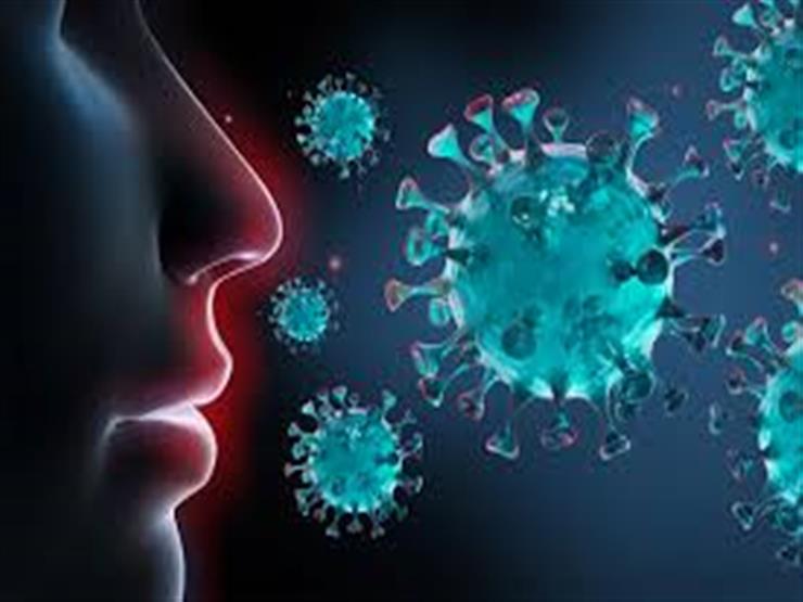 استشاري مناعة: الموجة الثانية من انتشار فيروس كورونا لم تنته