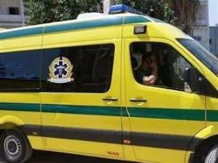بالأسماء.. إصابة ١٢ شخصًا في انقلاب ميكروباص بالدقهلية بالأسماء.. إصابة ١٢ شخصًا في انقلاب ميكروباص بالدقهلية