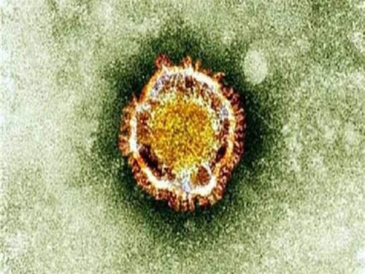 تقرير يحذر من تفشي فيروس نيباه في الصين بمعدل وفيات يبلغ 75%