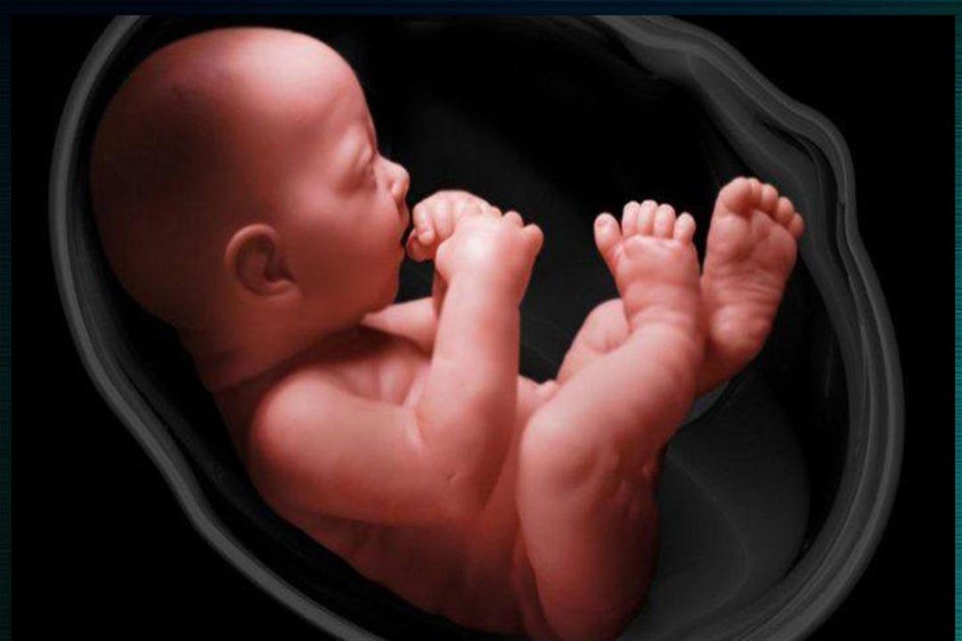 بالصور.. مراحل تطور الجنين من بداية الحمل حتى الولادة