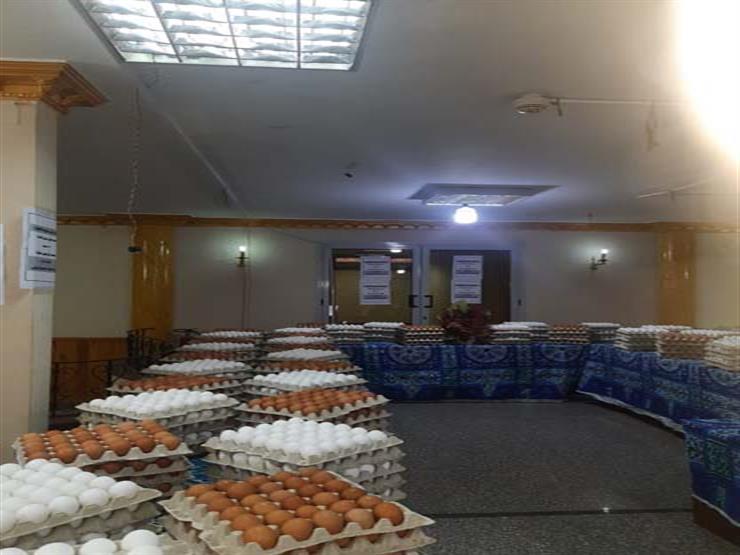 الزراعة: طرح بيض المائدة بكميات كبيرة وبأسعار مناسبة في منافذ الوزارة