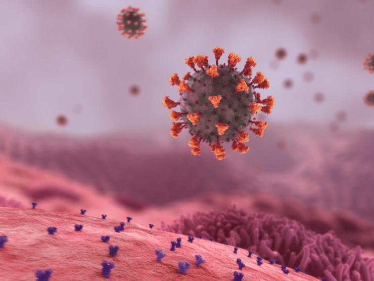 أستاذ مناعة: بدون التطعيم سيستمر انتشار فيروس كورونا