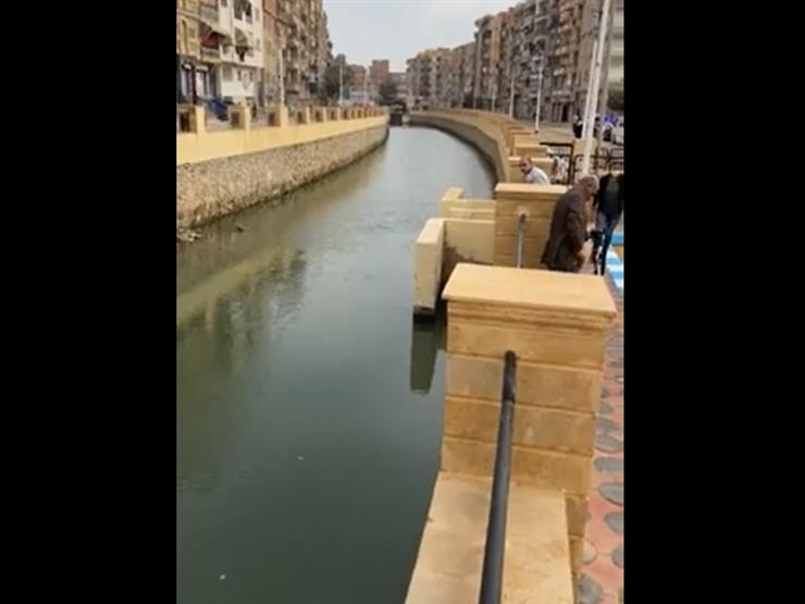 "جمال وشياكة".. مستشار "الوزراء" ينشر فيديو لتطوير ترع السويس "جمال وشياكة".. مستشار "الوزراء" ينشر فيديو لتطوير ترع السويس
