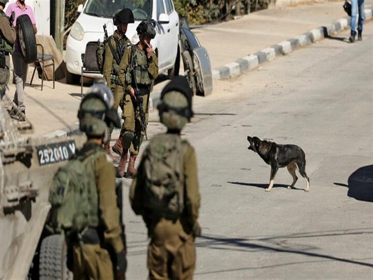 منظمة إسرائيلية: 450 هجومًا لمستوطنين على فلسطينيين في غضون عامين