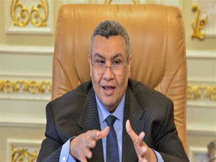 برلماني: برنامج الإصلاح الاقتصادي ساعد على تحقيق الاستقرار المالي بمصر