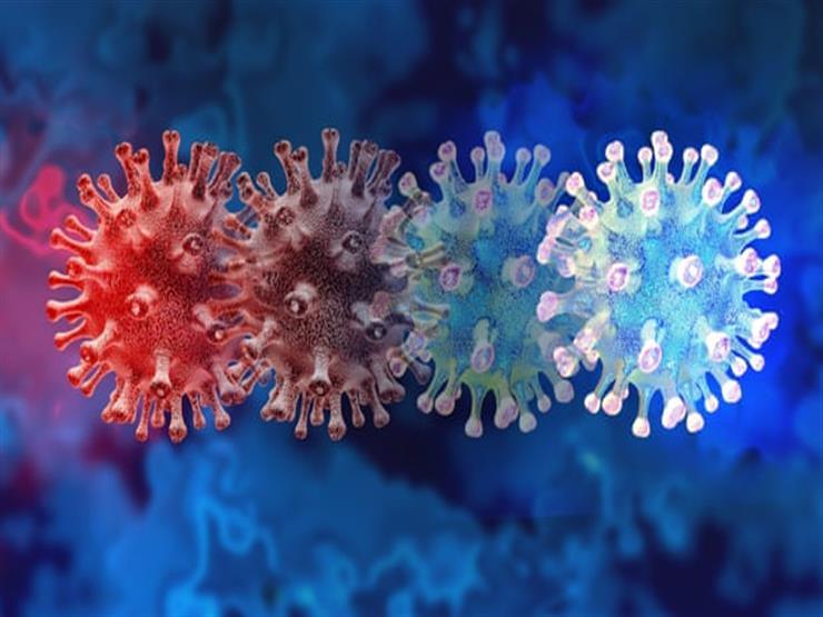 أستاذ فيروسات يكشف عن خطورة متحور أوميكرون