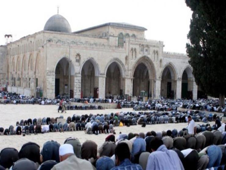 في اليوم العالمي للتضامن مع الشعب الفلسطيني: هكذا رفع الإسلام ذكر فلسطين والأقصى في القرآن والسنة في اليوم العالمي للتضامن مع الشعب الفلسطيني: هكذا رفع الإسلام ذكر فلسطين والأقصى في القرآن والسنة