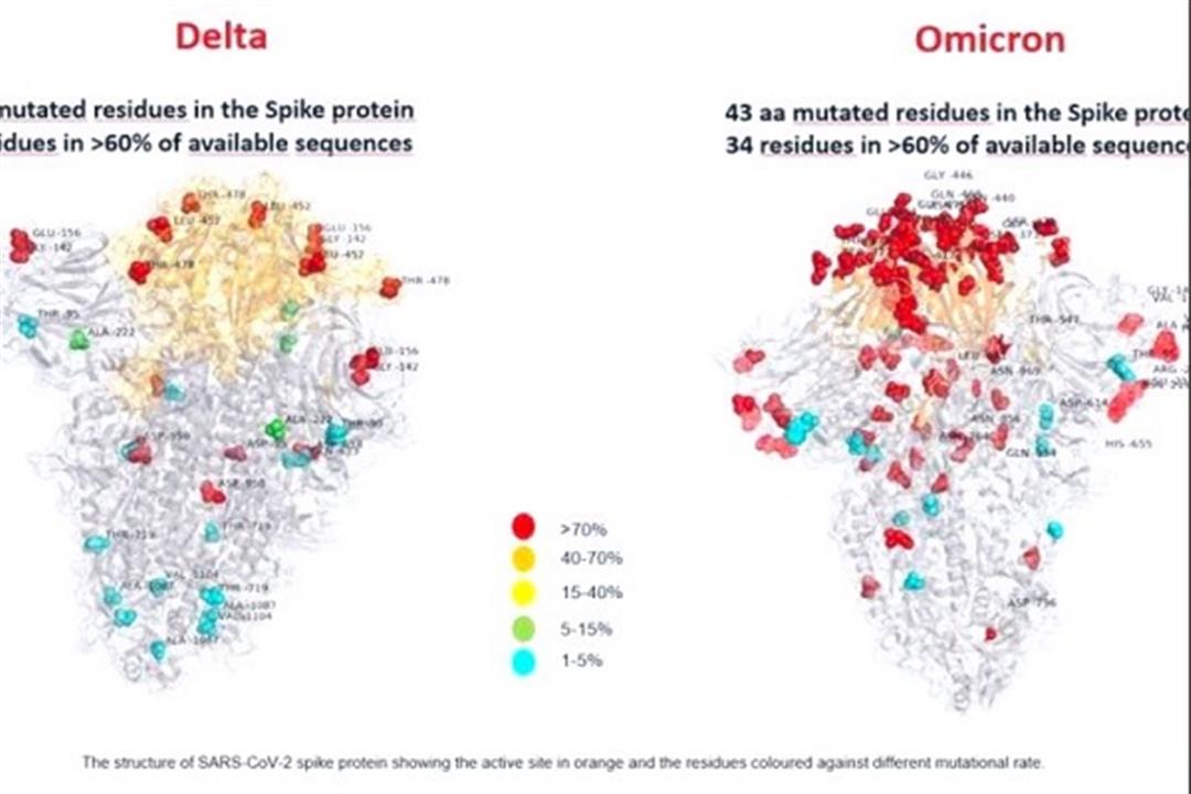 صورة لمتحور أوميكرون