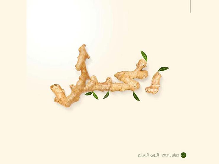 في فبراير.. كيف تحول "حبراير" إلى تحدي ممتع لعشاق الخط العربي؟ في فبراير.. كيف تحول "حبراير" إلى تحدي ممتع لعشاق الخط العربي؟