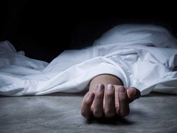 مصرع شخص وإصابة 2 فى حادث تصادم بالدقهلية مصرع شخص وإصابة 2 فى حادث تصادم بالدقهلية