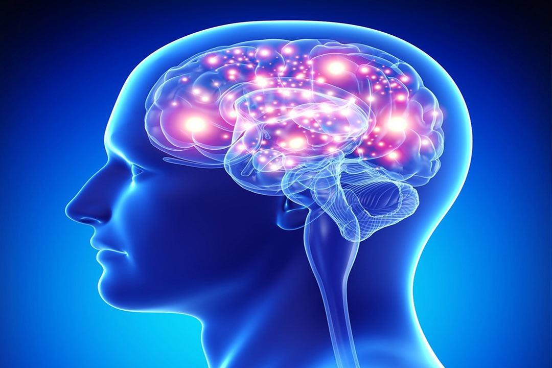 دراسة تكشف عن تأثيرات صادمة لكورونا على المخ