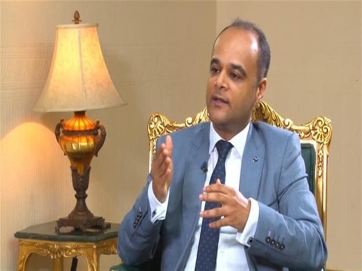 نادر سعد: مصر والإمارات نموذج استثنائي في العلاقات بين الدول