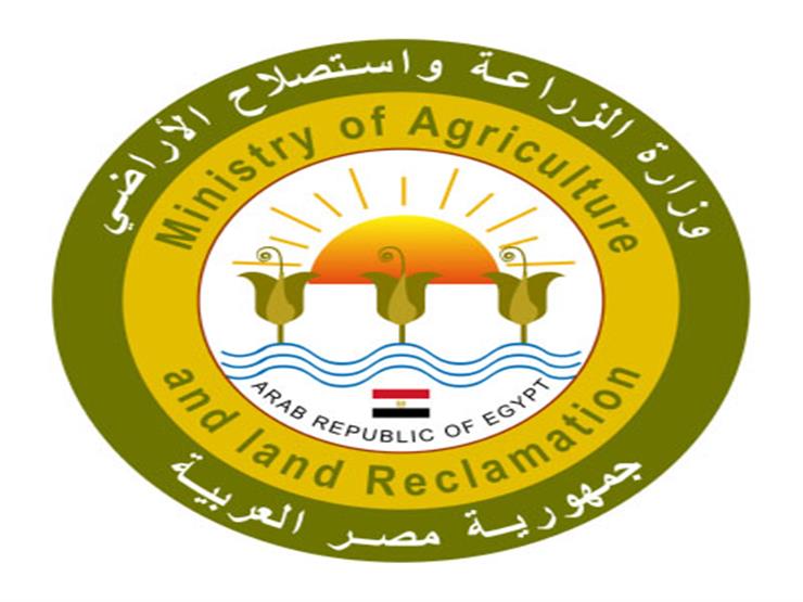 "الزراعة" تصدر نشرة بالتوصيات الفنية لمزارعي الموالح خلال شهر مارس "الزراعة" تصدر نشرة بالتوصيات الفنية لمزارعي الموالح خلال شهر مارس