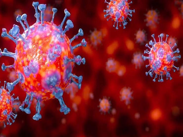 الصحة: لم يتم رصد أية سلالات جديدة من فيروس كورونا في مصر