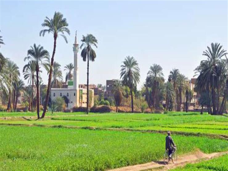 مشرع تطوير الريف المصري: إنشاء مجمع حكومي في الوحدة المحلية