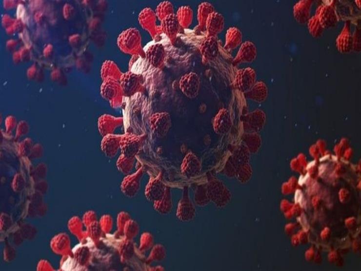 الصحة: قمة المنحنى الوبائي لفيروس كورونا في مصر تحققت في 30 ديسمبر الماضي