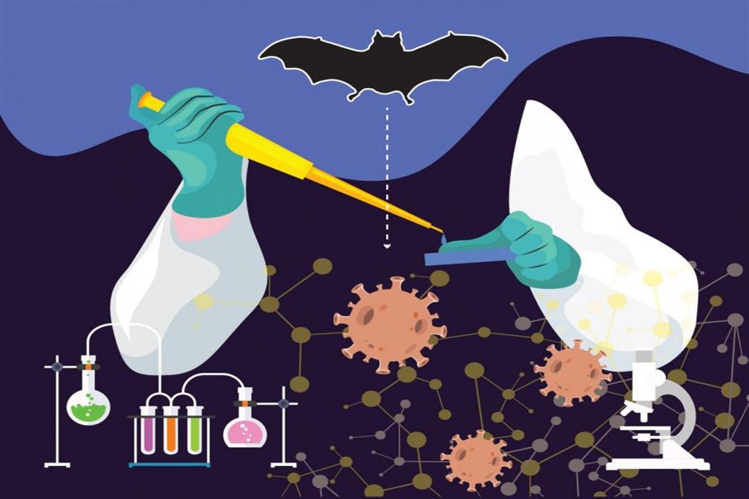 خطر جديد.. اكتشاف 4 فيروسات شبيهة بكورونا في خفافيش بالصين