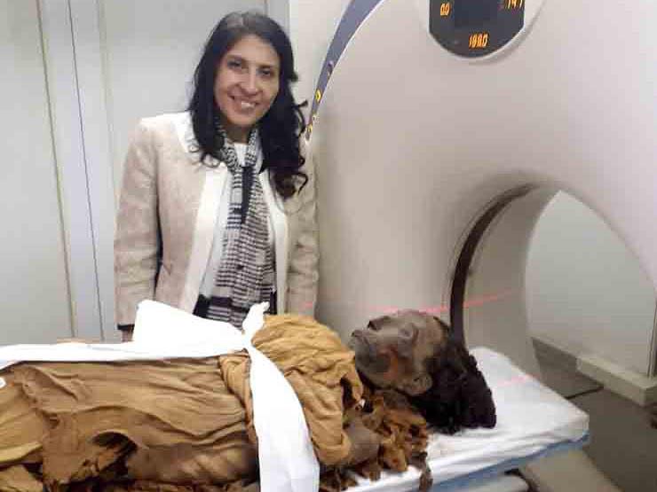أستاذ أشعة تشخيصية: "ملوك وملكات مصر لم يسلموا من نباشين القبور"- فيديو