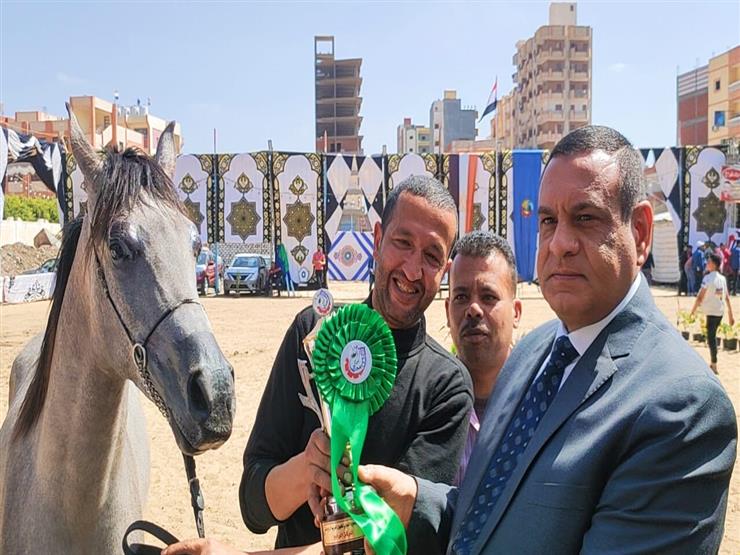  محافظ البحيرة: مهرجان الخيول العربية من العلامات البارزة لمحافظة البحيرة