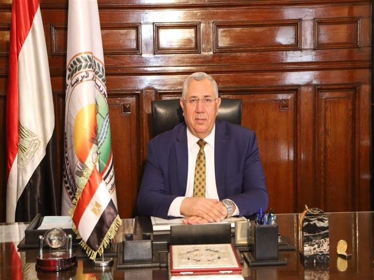 لأول مرة.. الزراعة: تصدير بيض تفريخ تسمين إلى الإمارات لأول مرة.. الزراعة: تصدير بيض تفريخ تسمين إلى الإمارات