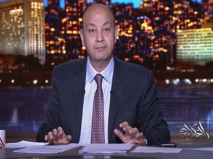 عايزكم تتخيلوا مشاعره لما الطيارة نزلت مصر.. أديب عن القبض على الإرهابي حسام منوفي