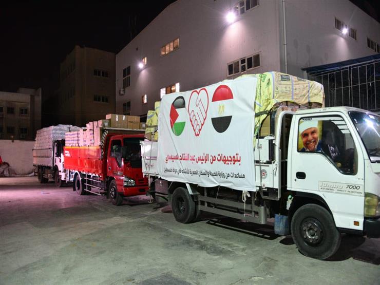 الصحة: 65 طن مساعدات ومستلزمات طبية إلى غزة