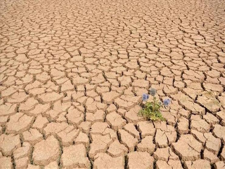 خبير إدارة أحواض الأنهار: التغيرات المناخية تجعل الجفاف المستقبلي أسوأ تأثيرًا على مصر والسودان وإثيوبيا