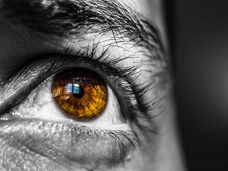 هل يمكن رؤية الملائكة؟.. وأمين الفتوى يجيب هل يمكن رؤية الملائكة؟.. وأمين الفتوى يجيب