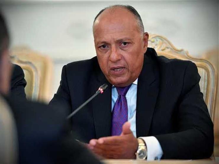 وزير الخارجية: مصر والسودان تعملان على تداول قضية سد النهضة عالميًا
