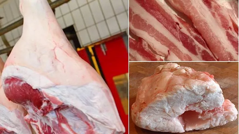 باحثون: الدهون الحيوانية المعتدلة تحسن التمثيل الغذائي 