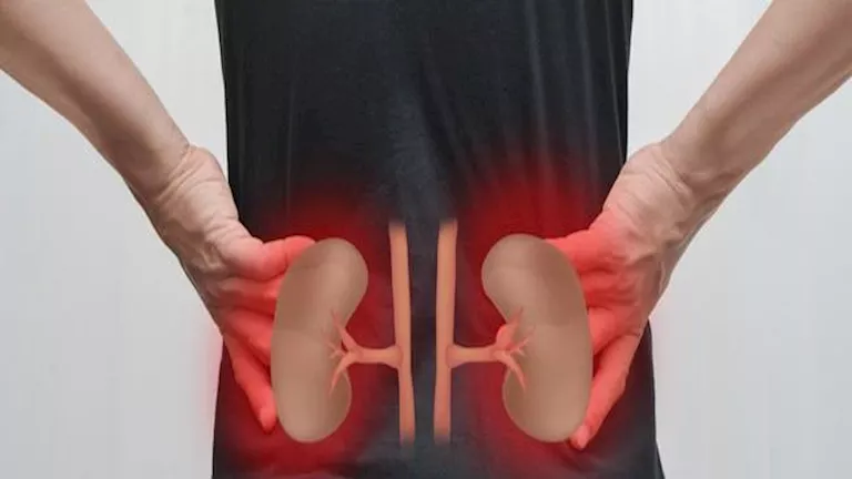 القيلولة دراسة تكشف سر الوقاية من مرض الكلى المزمن 