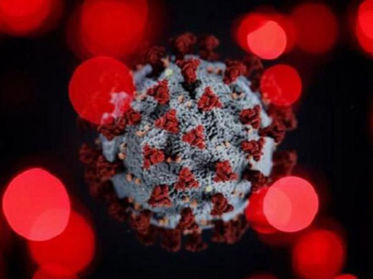 "المعاهد البحثية بزويل": تحورات كورونا لها قدرة التخفي على جهاز المناعة