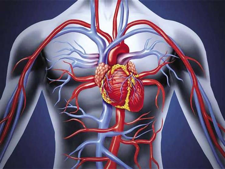 علامات تشير للمعاناة من ضعف الأوعية الدموية