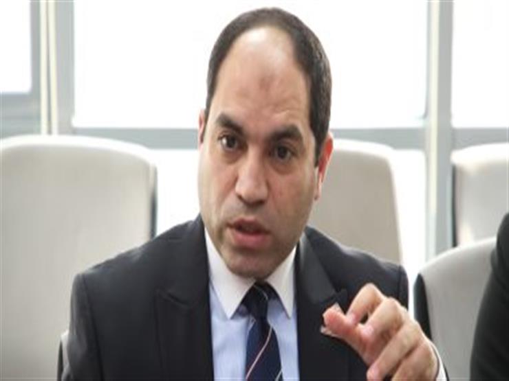 نائب التنسيقية: الصكوك السيادية لا تمس الأمن القومي المصري