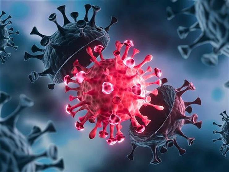  أستاذ مناعة: فيروس كورونا أصبح ذكى في التعامل مع الأجسام المضادة