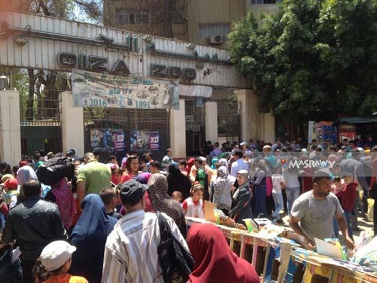 الزراعة: 31 ألف زائر لحديقة الحيوان في ثاني أيام عيد الأضحى الزراعة: 31 ألف زائر لحديقة الحيوان في ثاني أيام عيد الأضحى