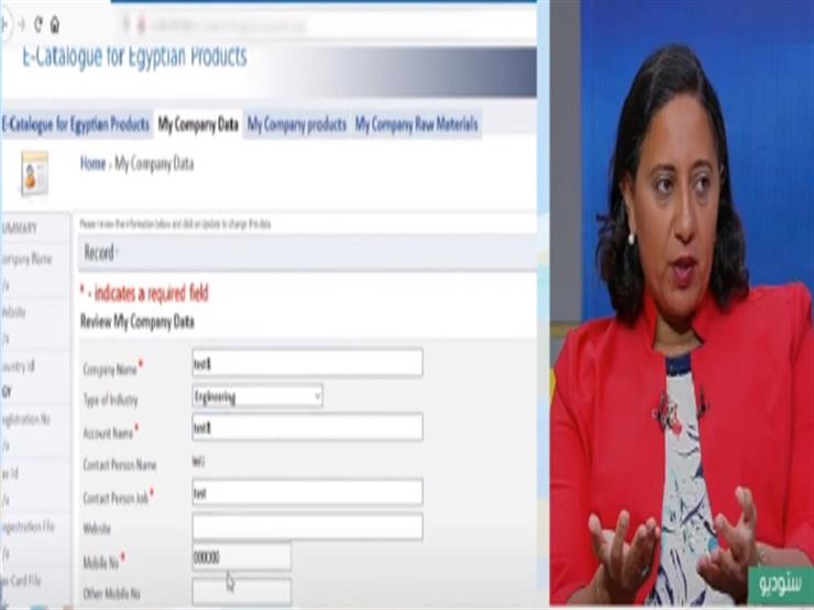 قطاع الأعمال العام: نستهدف 100 مليون مستهلك خارجي عن طريق "الكتالوج" الإلكتروني