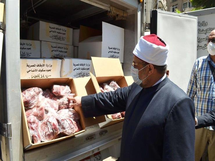 اليوم.. الأوقاف تعلن توزيع 18 طن لحوم أضاحي اليوم.. الأوقاف تعلن توزيع 18 طن لحوم أضاحي