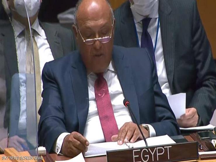 محلل سياسي: كلمة شكري أمام مجلس الأمن عبرت بدقة عن موقف مصر تجاه السد